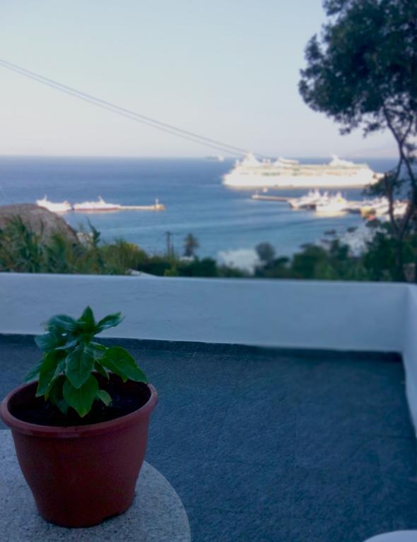 Apartment Garden Natasa Mykonos Town